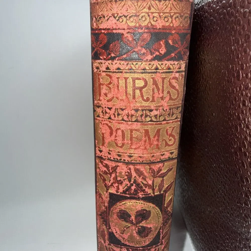 1881 THE POETICAL WORKS OF ROBERT BURNS Antique Decorative Victorian Poetry Book